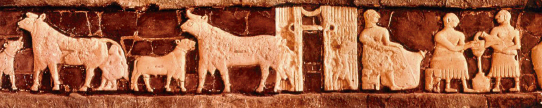 iberconseil