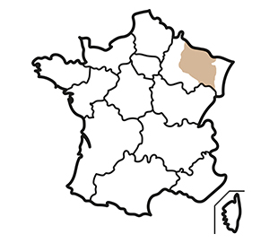 Lorraine