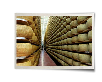 PARMIGIANO REGGIANO