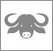 Milk from BUFFALO