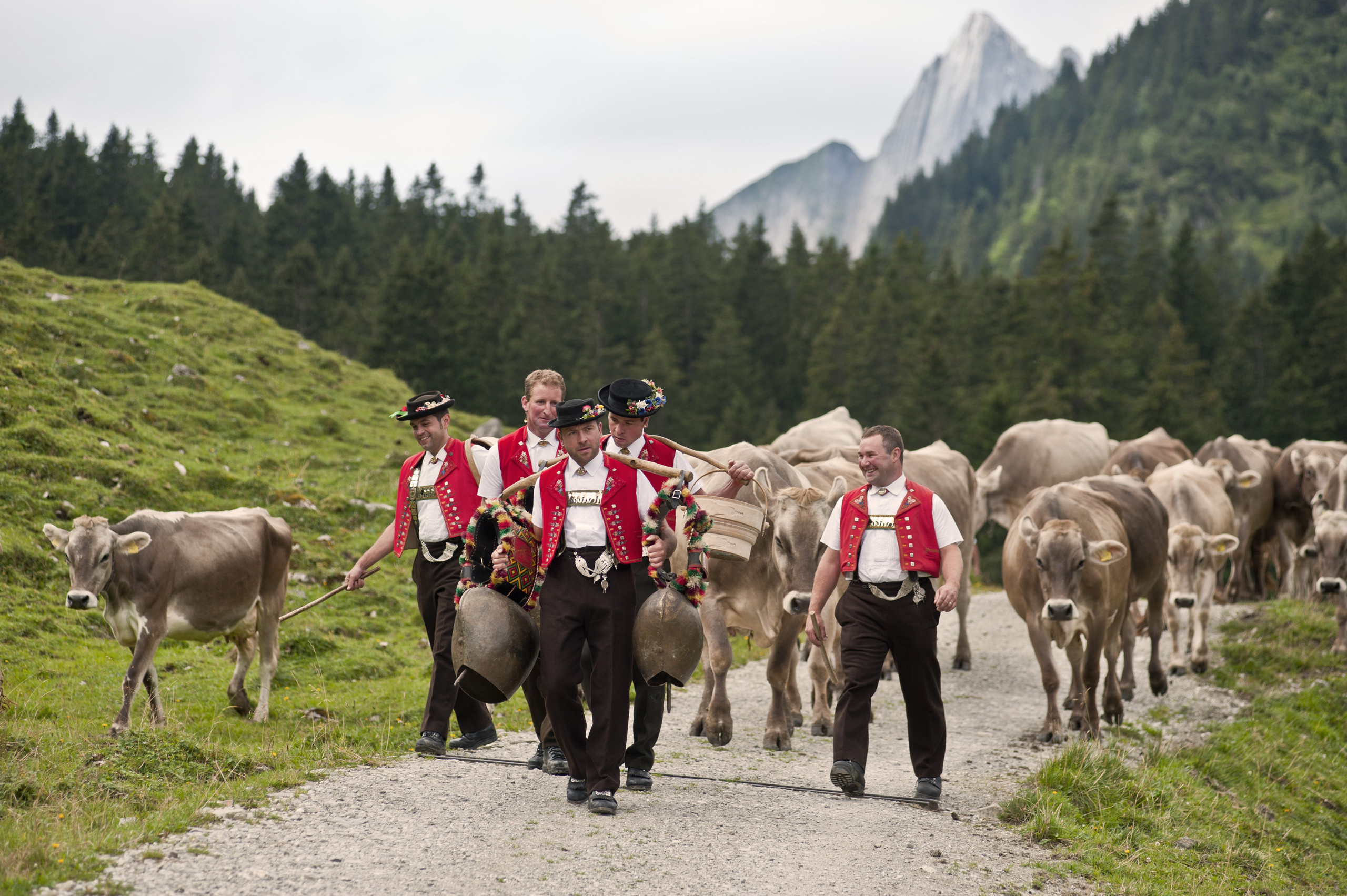 Appenzeller | Nuestras Historias | Iberconseil